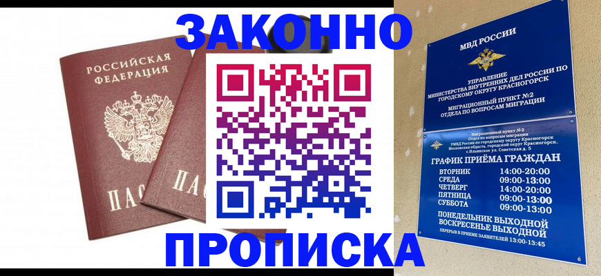прописка гарантия в Пионерском
